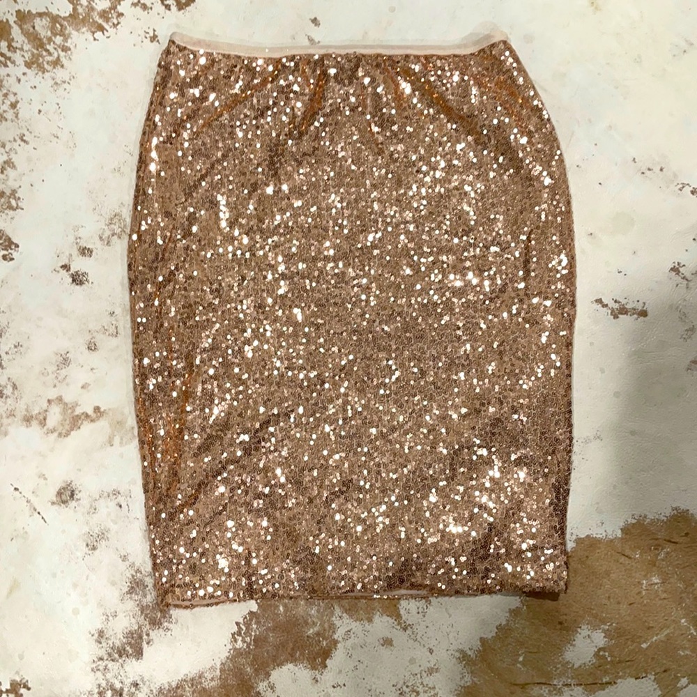 Sequin Skirt